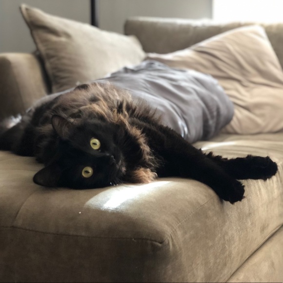 Ruby & George! - Picture 2 of 2